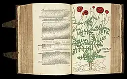 Kräuterbücher