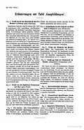 Erläuterungen zur Tafel ‚Gangbildungen‘