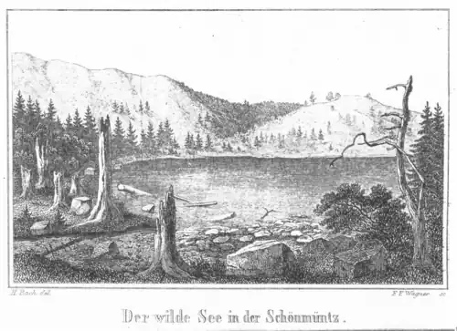 Der wilde See in der Schönmüntz.