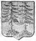 Wappen der Stadt Wildbad.