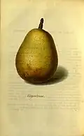 Virgouleuse