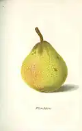 Pfirsichbirn