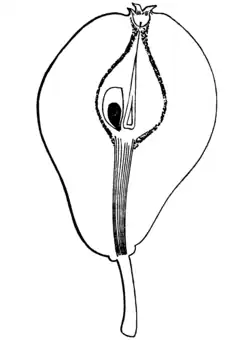 Seite 225