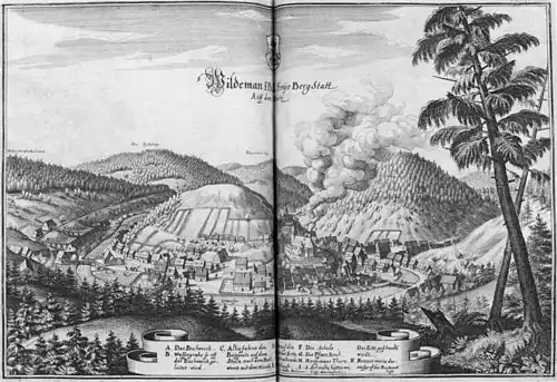 Oberhartzische Fürstl. Braunschweig-Lüneburgische Communion Bergwercke
