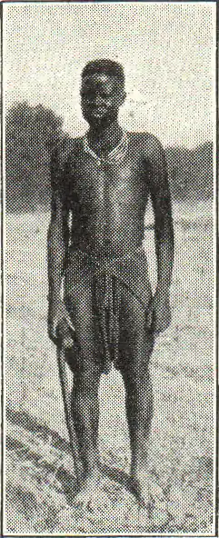 Musgu (Sudanneger).