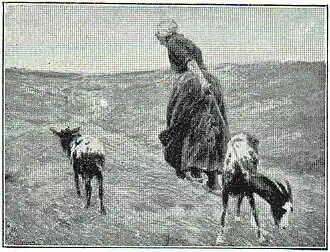 10. Max Liebermann: Frau mit Ziegen.
