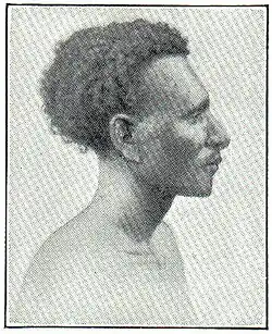 16. Papua von Astrolabebai.
