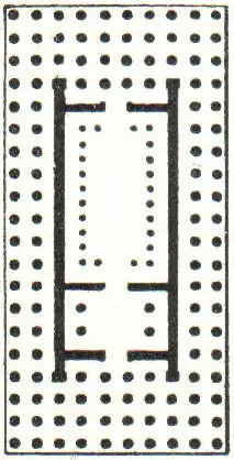 Abb. 5. Dipteros.