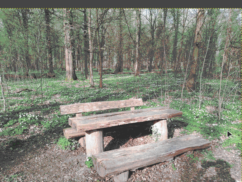 Animation zur Erstellung von monochromen Graustufenbilder, die dann für das rechte und linke Auge rot bzw. grün eingefärbt werden