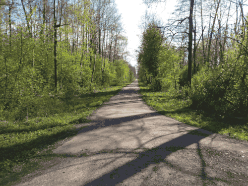 Animation, die die Notwendigkeit der Rotationskorrektur für die Einzelbilder des rechten und linken Auges zeigt