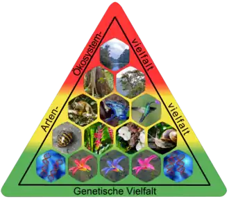 Die drei (wesentlichen) Ebenen der Biodiversität (Beispiel: Tropischer Regenwald Ecuadors)