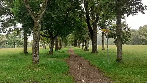 Person in 100m Abstand