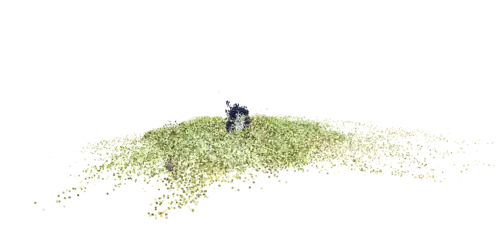 Per Photogrammetrie erstellte Punktwolke des Linuxmaskottchen "Tux" auf einem Rasen