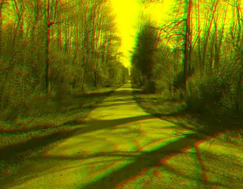 Straße im Wald mit korrigierten Einzelbilder