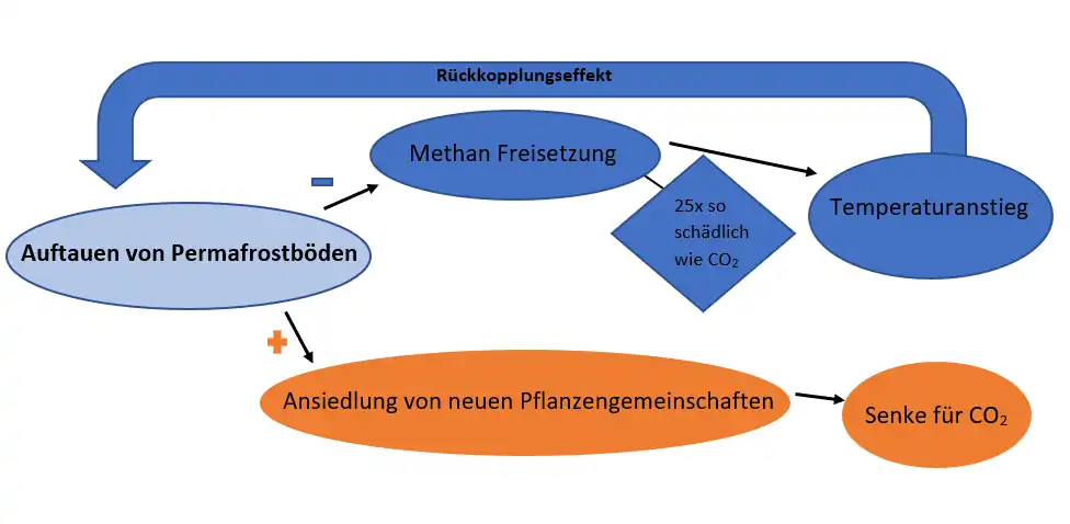 Permafrostböden als Beispiel