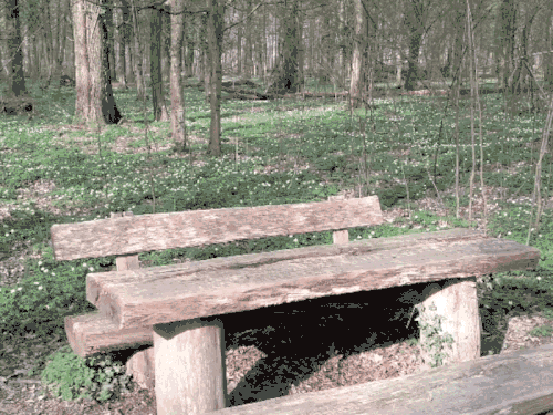 Stereoscopy image align of left eye and right eye image