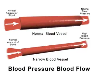 Blood pressure flow.