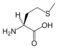 L-Methionine (Met&nbsp;/&nbsp;M)