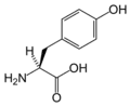 L-Tyrosine (Tyr&nbsp;/&nbsp;Y)