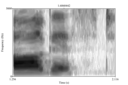 Spectrogram 4