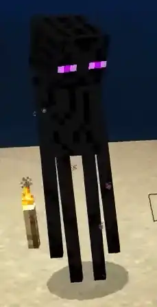 An enderman