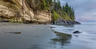 Image of a beach that backs onto a cliff face. On top of the cliff is a forest