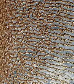Satellite image of sand dunes in the Empty Quarter.