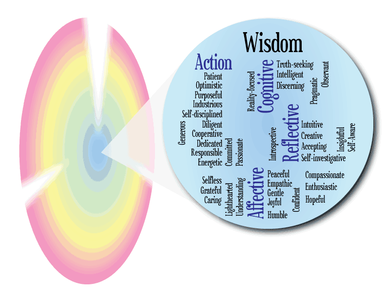 Wisdom is action directed by the highest levels of cognitive, reflective, and affective skills.
